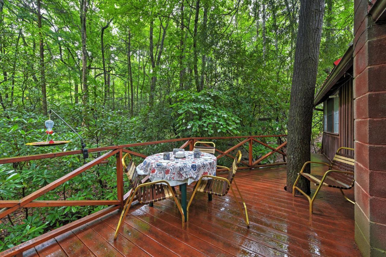 Serene Creekside Cottage Near Asheville Fire Pit Candler Εξωτερικό φωτογραφία