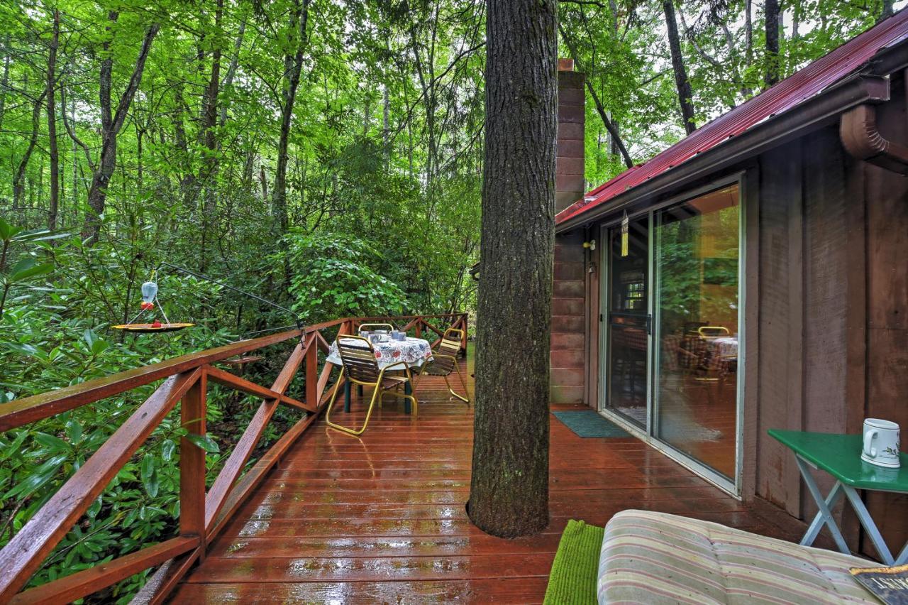 Serene Creekside Cottage Near Asheville Fire Pit Candler Εξωτερικό φωτογραφία