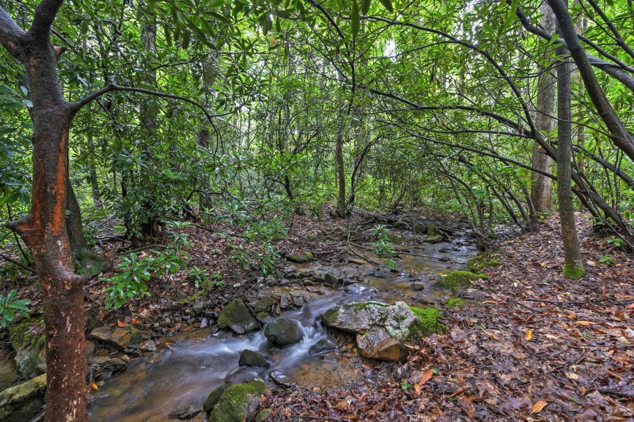 Serene Creekside Cottage Near Asheville Fire Pit Candler Εξωτερικό φωτογραφία